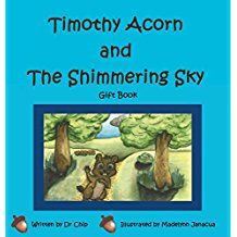 Shimmering Sky: Gift Book – Rolling Acorn Canyon, Inc